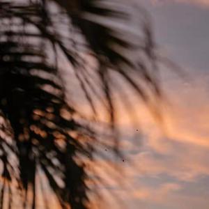 1000部又爽又黄禁片45分钟
